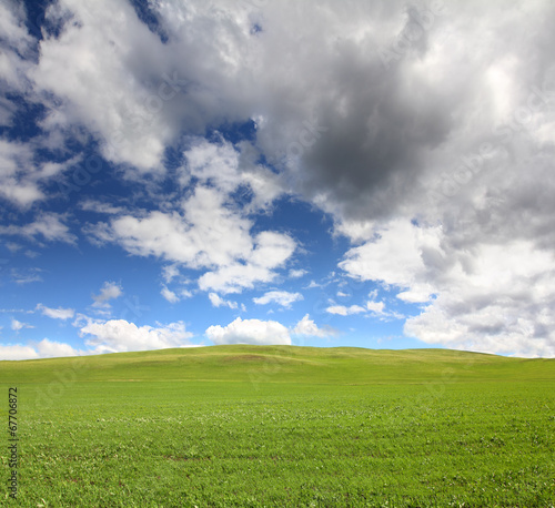green hill with grass under sky