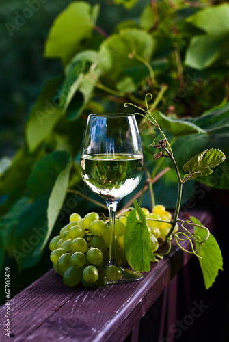 grape and white wine in vineyard
