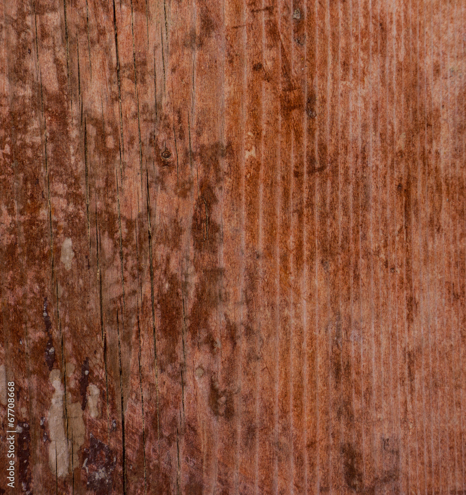 Obraz premium surface