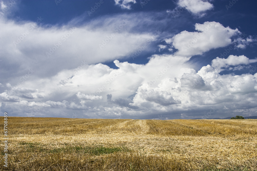 Campagna Italiana