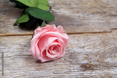 pink roses on a wooden table
