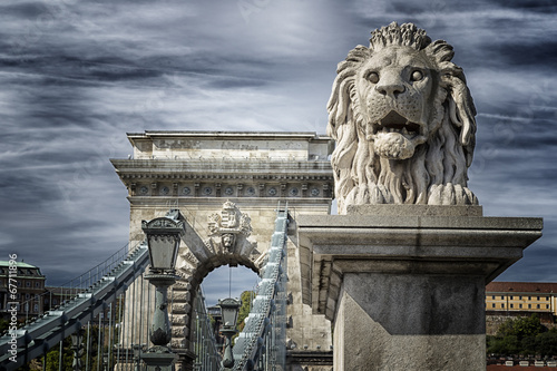 Lion of the Chain Bridge in Budapest