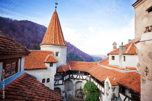 Red roofs of Bran Castle in inner yard, Romania photo