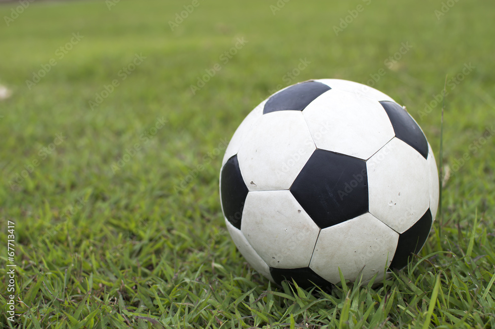 Fototapeta premium Soccer ball on green field