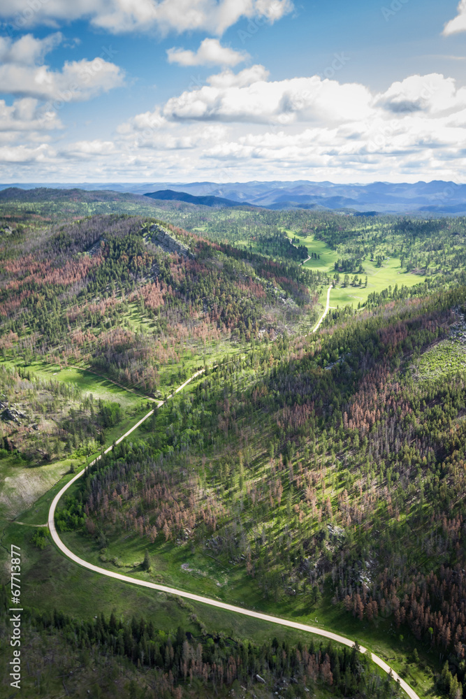 Fototapeta premium aerial view of the black hills
