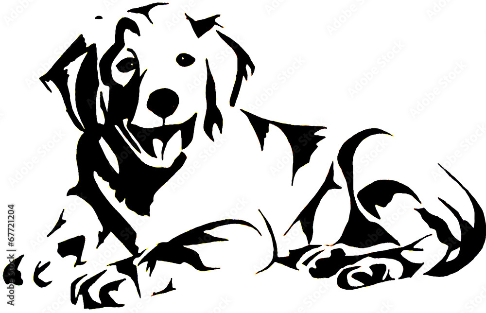 Golden Retrievel Golden Retrievel