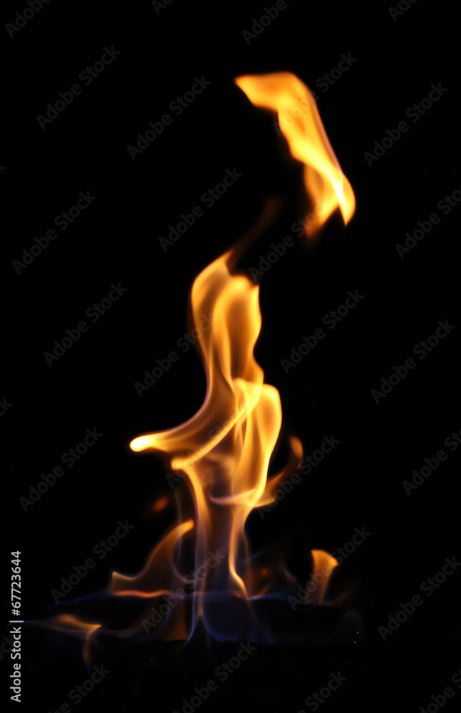 Fototapeta premium Flame tongues