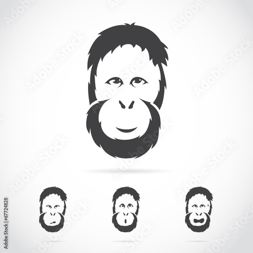Vector image of orangutan face