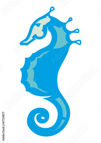 sea ​​horse