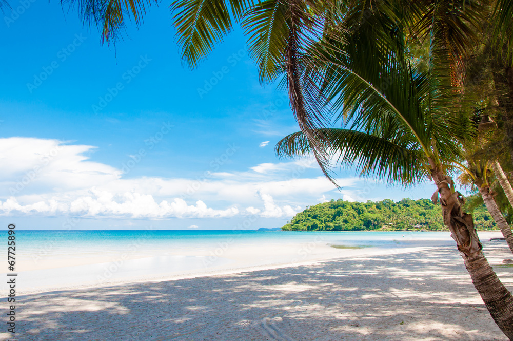 Beautiful tropical beach with white sand and blue waters