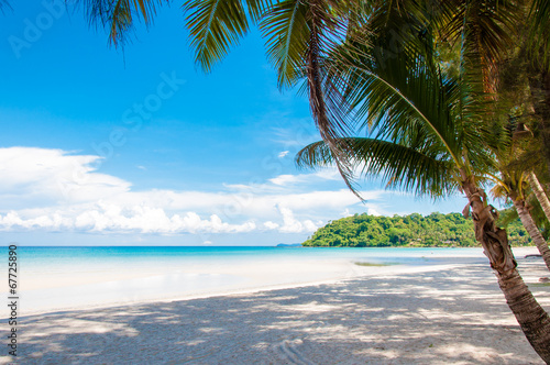 Beautiful tropical beach with white sand and blue waters