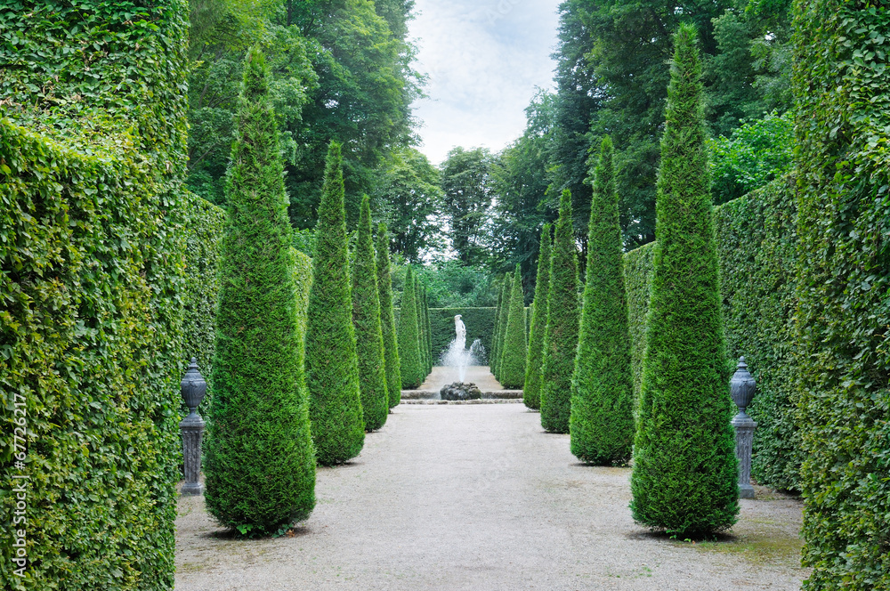 Naklejka premium Beautiful alley in the park.