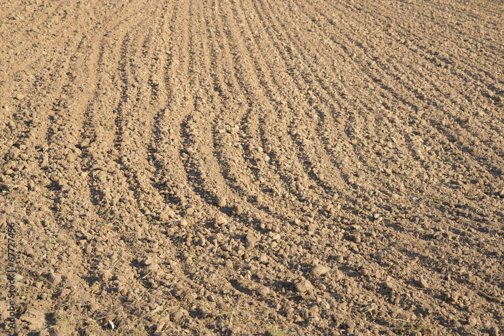 Farming Farming