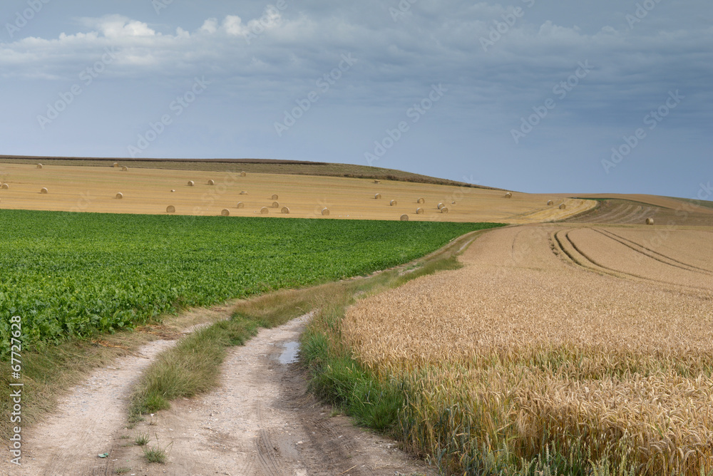 chemin de campagne chemin de campagne