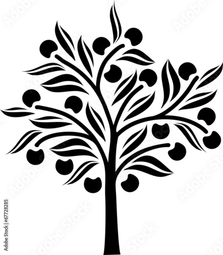 Apple tree