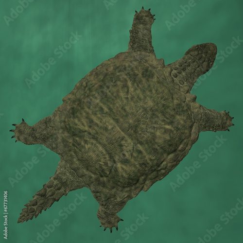 Proganochelys quenstedti