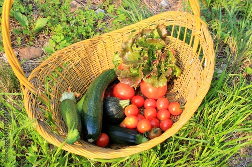 vegetables