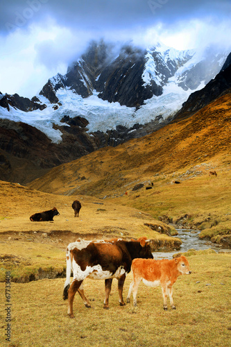 Jirishanca Peak (6094m) in Cordiliera Huayhuash, Peru, South America photo