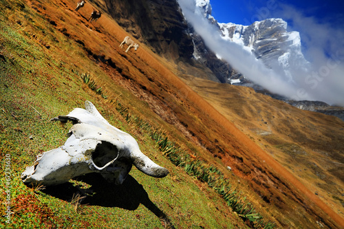 Jirishanca Peak (6094m) in Cordiliera Huayhuash, Peru, South America photo