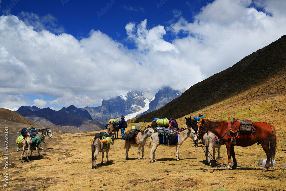 Fototapeta premium Cordiliera Huayhuash, Peru, South America