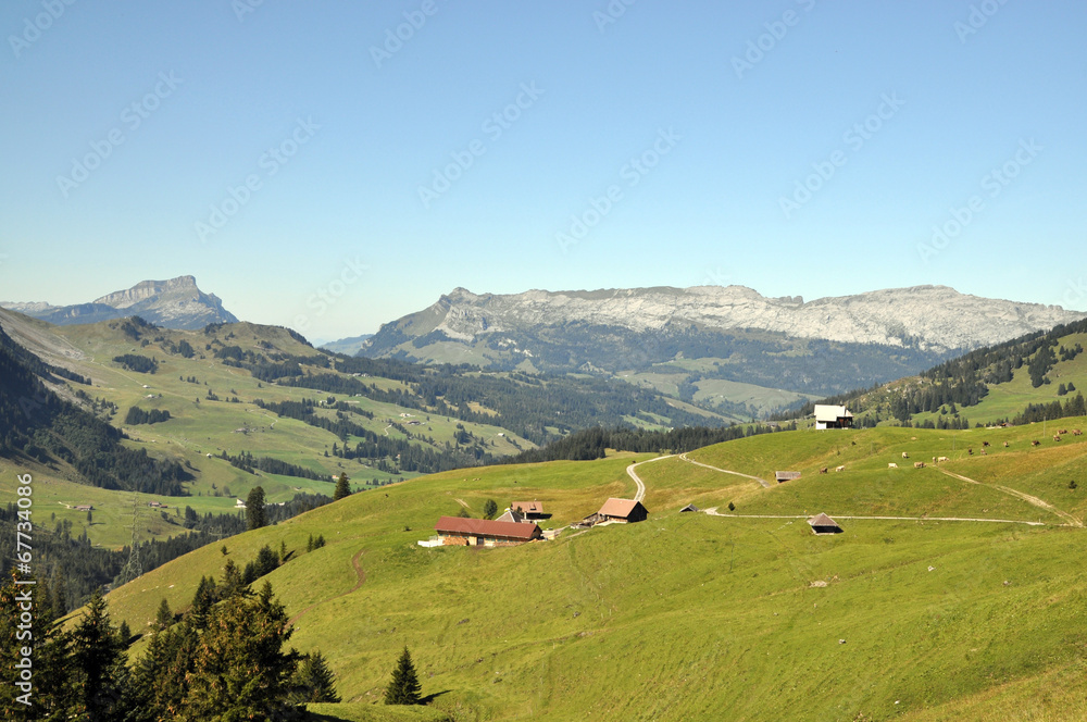 Alpe Jänzimatt mit Schrattenflue Alpe Jänzimatt mit Schrattenflue