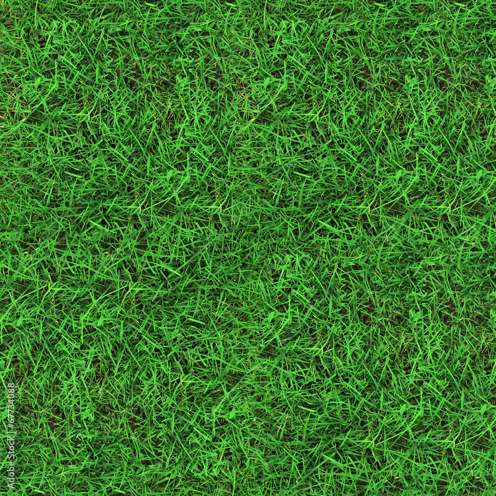 Green grass seamless texture Green grass seamless texture