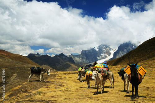 Cordiliera Huayhuash  Peru  South America