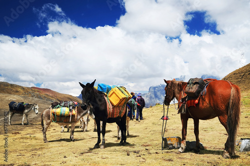 Camping in Cordiliera Huayhuash, Peru, South America