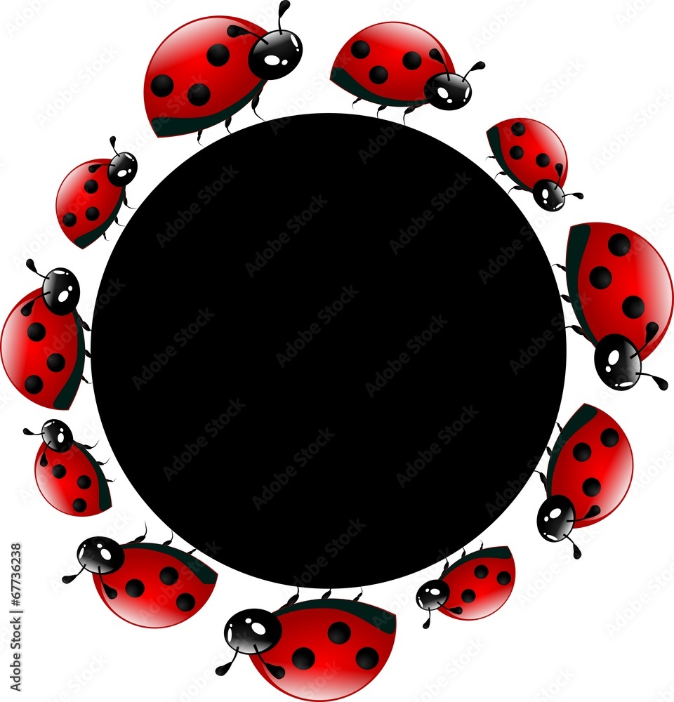 Fototapeta premium Ladybugs circle