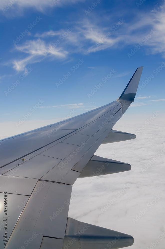 Flying airplane wing