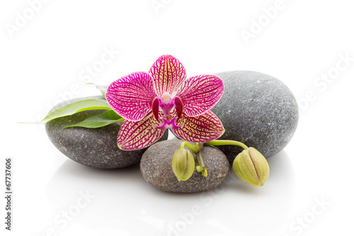Spa stones