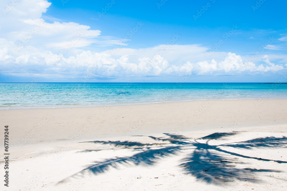 Shadow of palm tree over tropical white sand beach Shadow of palm tree over tropical white sand beach