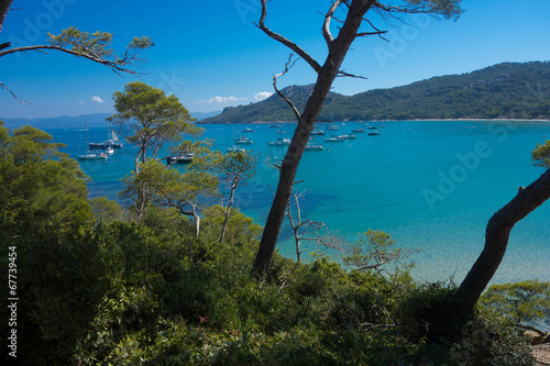 Ile de Porquerolles
