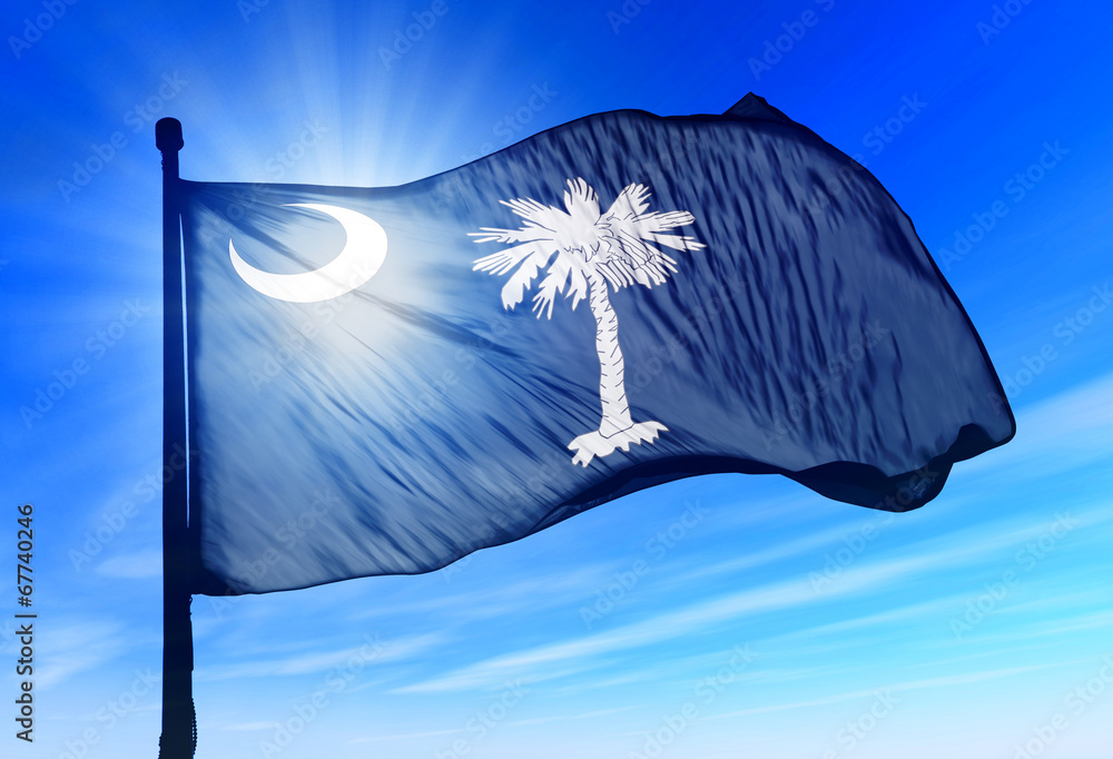 Naklejka premium South Carolina (USA) flag waving on the wind
