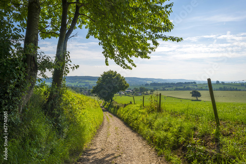 Road through a rural landscape in summer photo