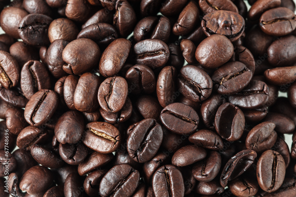 Roasted coffee seed for fresh coffee Roasted coffee seed for fresh coffee