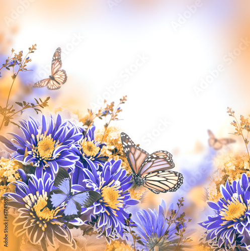 Fototapeta Naklejka Na Ścianę i Meble -  Bright spring chrysanthemum, floral background