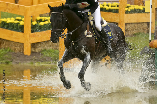 Rappe im Wasserhindernis photo