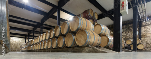   winery with  many wooden barrels