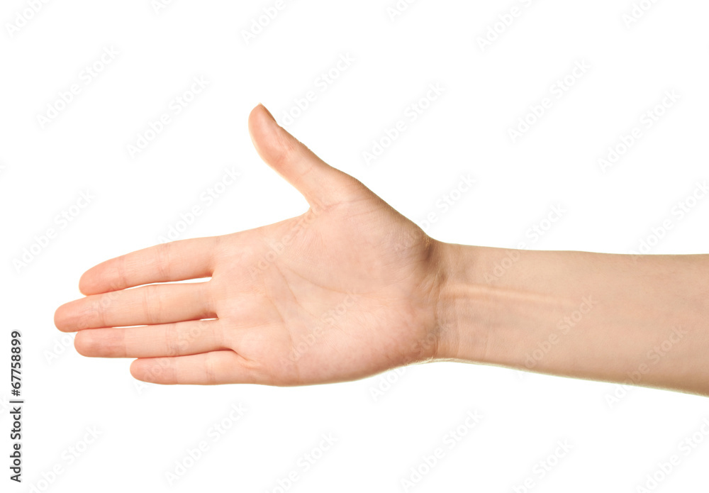 Female caucasian hand gesture isolated Female caucasian hand gesture isolated