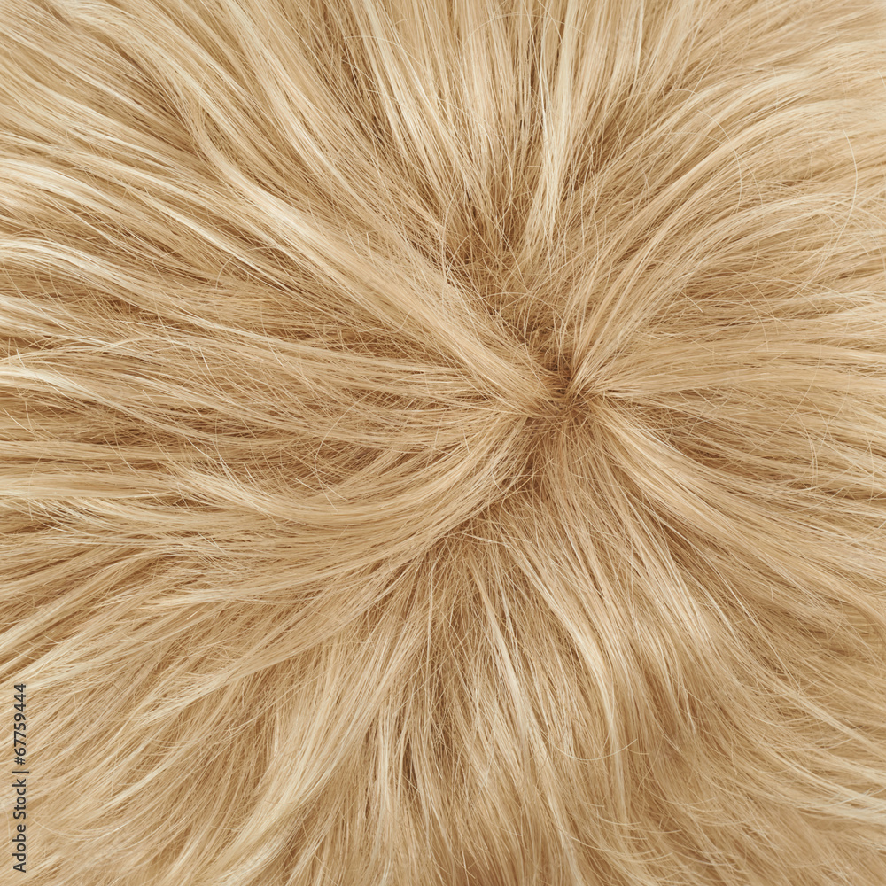 Fototapeta premium Hair fragment as a background composition
