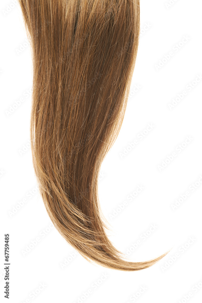 custom made wallpaper toronto digitalHair fragment over the white