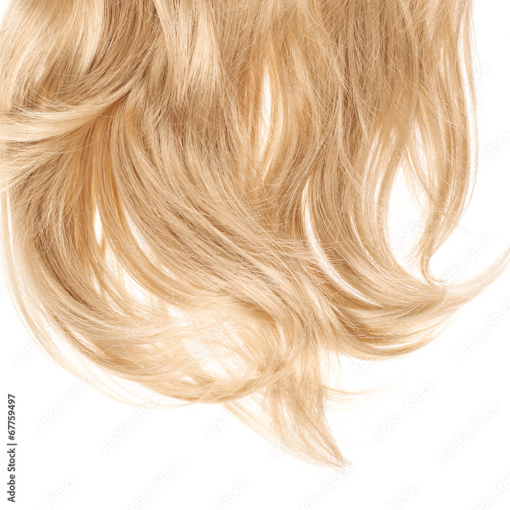 Hair fragment over the white Hair fragment over the white