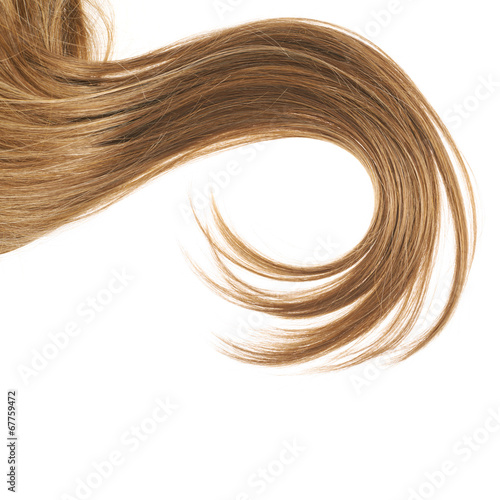 Hair fragment over the white