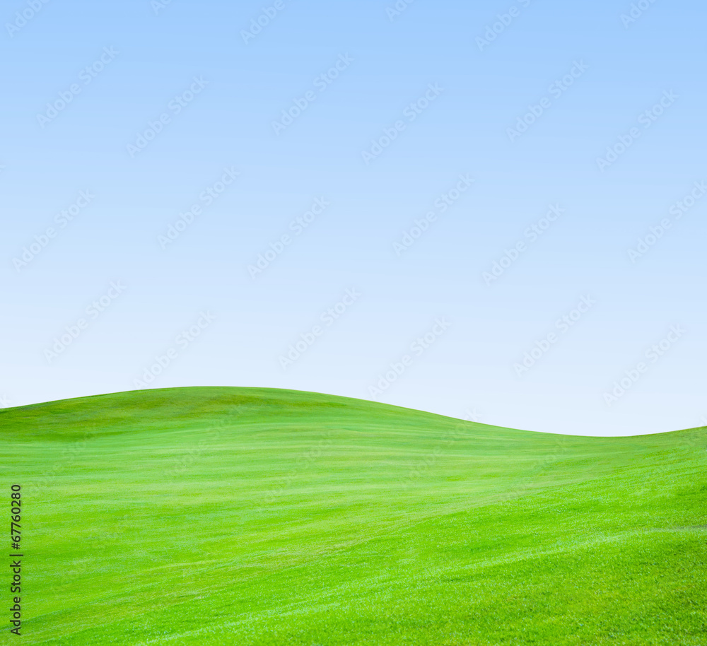 Golf club. Green field and ball in grass Golf club. Green field and ball in grass