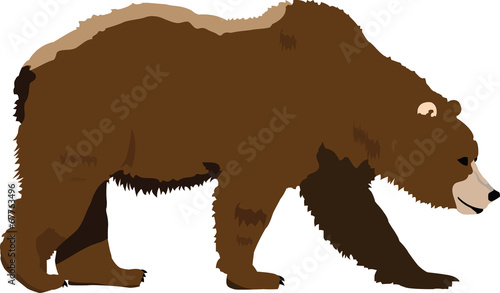 GRIZZLY COLOR