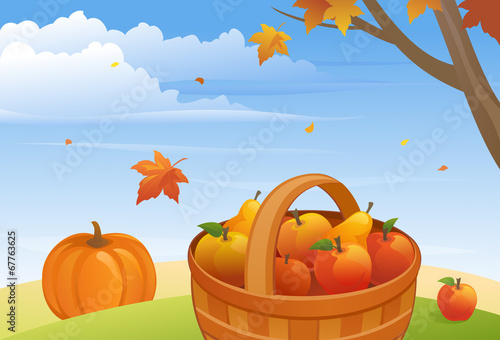 Autumn harvest