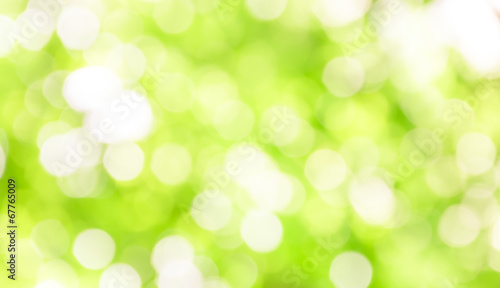 Vintage abstract light green blur bokeh background.
