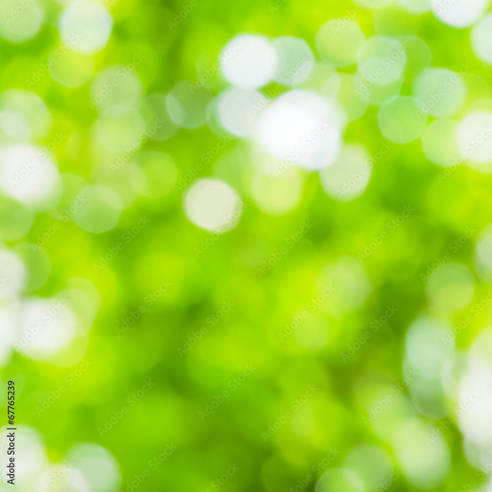 Green and white blur bokeh abstract light spring forest backgrou Green and white blur bokeh abstract light spring forest backgrou