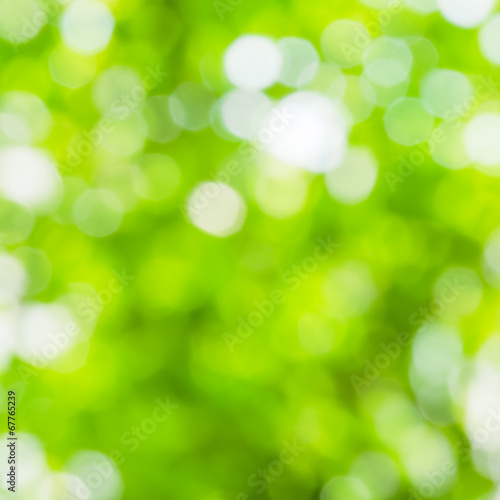 Green and white blur bokeh abstract light spring forest backgrou